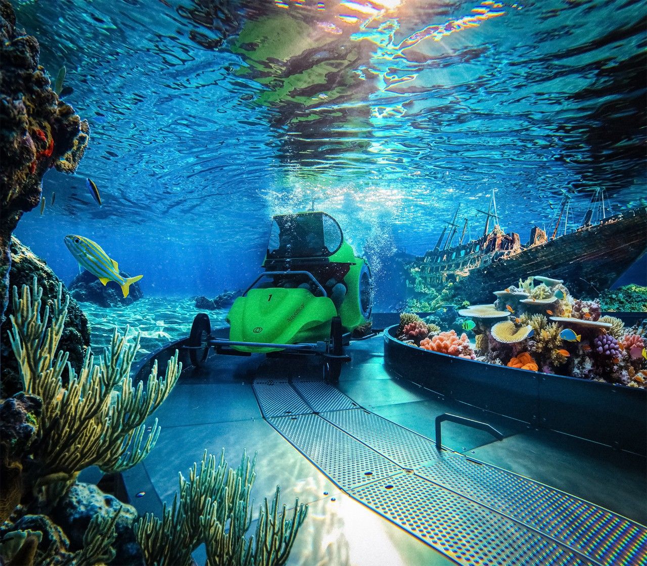 Aquaticar-mobile.jpg